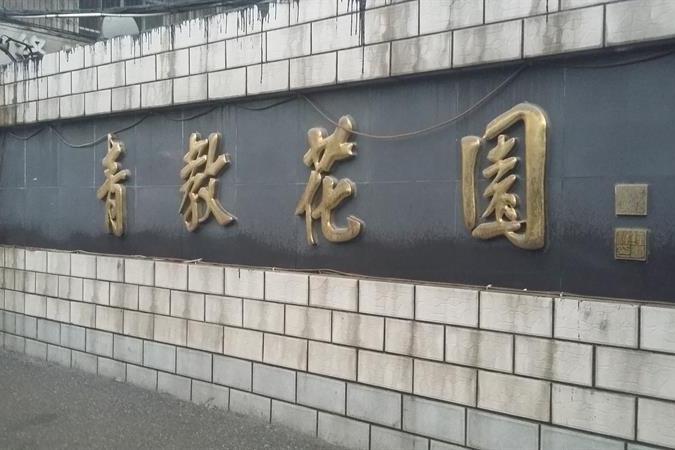 青教花園 青教花園