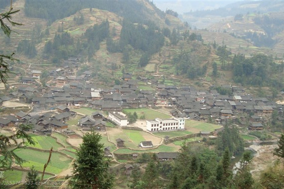 平垌村(廣東省廉江市高橋鎮下轄村) 平垌村(廣東省廉江市高橋鎮下轄村)