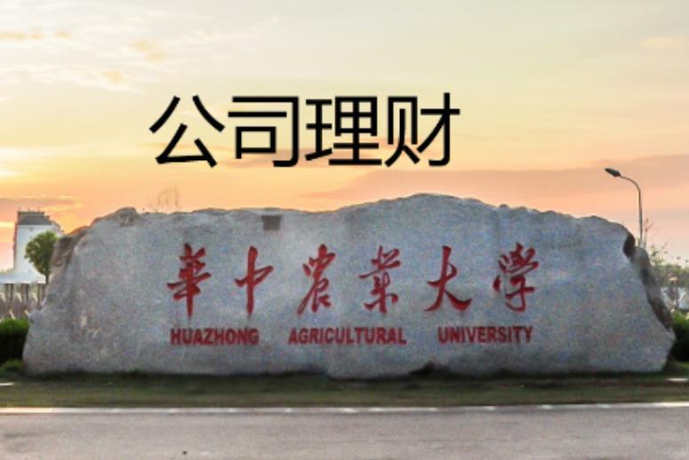 公司理財(華中農業大學提供的慕課) 公司理財(華中農業大學提供的慕課)