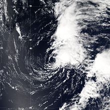 2003年大西洋颶風季