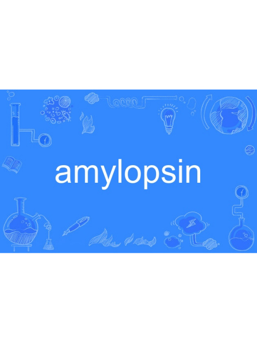 amylopsin amylopsin