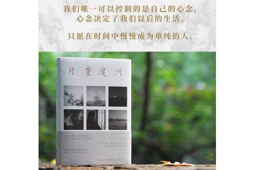 月童度河(2022年江蘇鳳凰文藝出版社出版的圖書) 月童度河(2022年江蘇鳳凰文藝出版社出版的圖書)