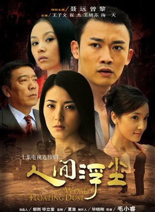 王子文(中國內地女演員)