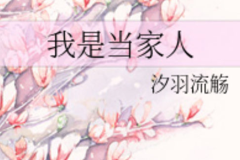 我是當家人 我是當家人