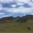 大黑山(雲南省開遠市山峰) 大黑山(雲南省開遠市山峰)