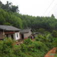 付胡一村 付胡一村