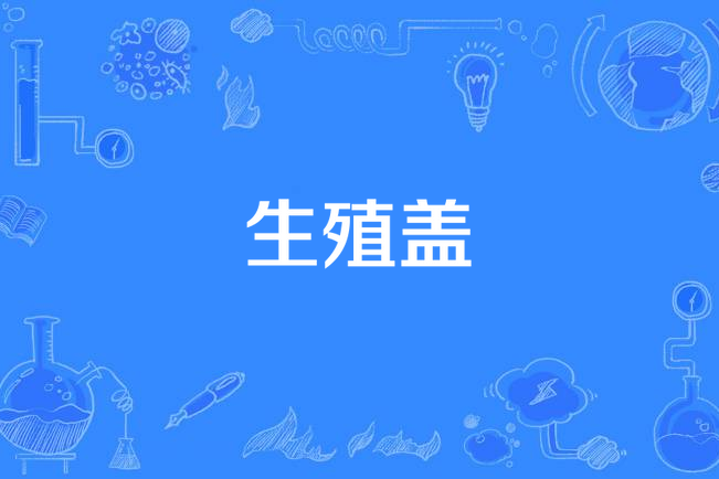 生殖蓋 生殖蓋