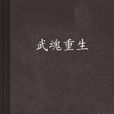 武魂重生 武魂重生