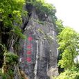 鱗隱石林 鱗隱石林