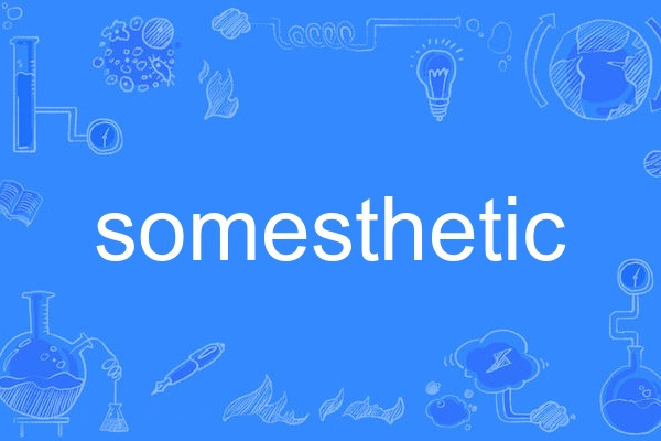 somesthetic somesthetic