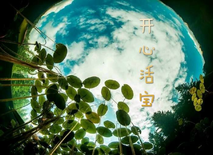 開心活寶 開心活寶