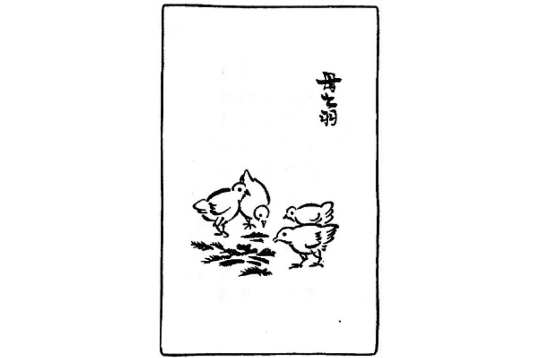 母之羽 母之羽
