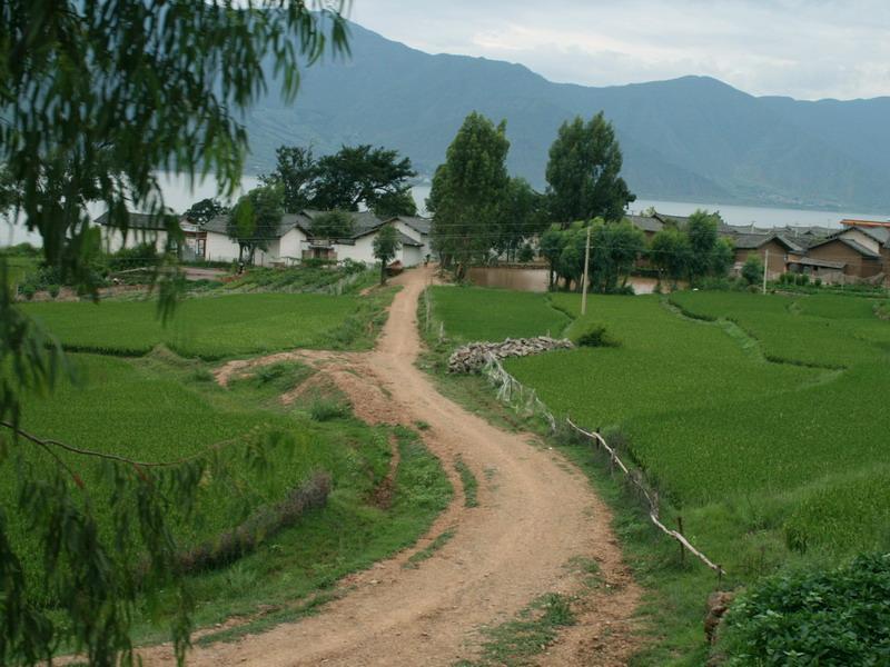 秦家鋪村 秦家鋪村