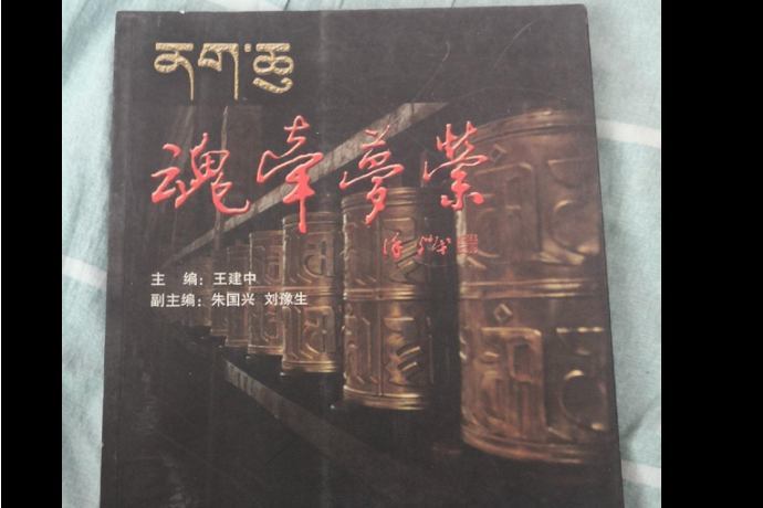 魂牽夢縈(2008年遼寧大學出版社出版的圖書) 魂牽夢縈(2008年遼寧大學出版社出版的圖書)
