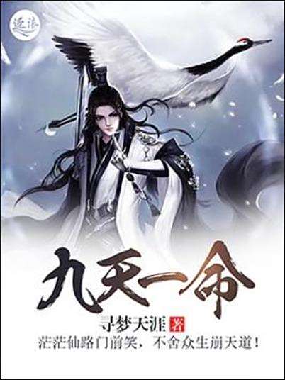 九天一命 九天一命