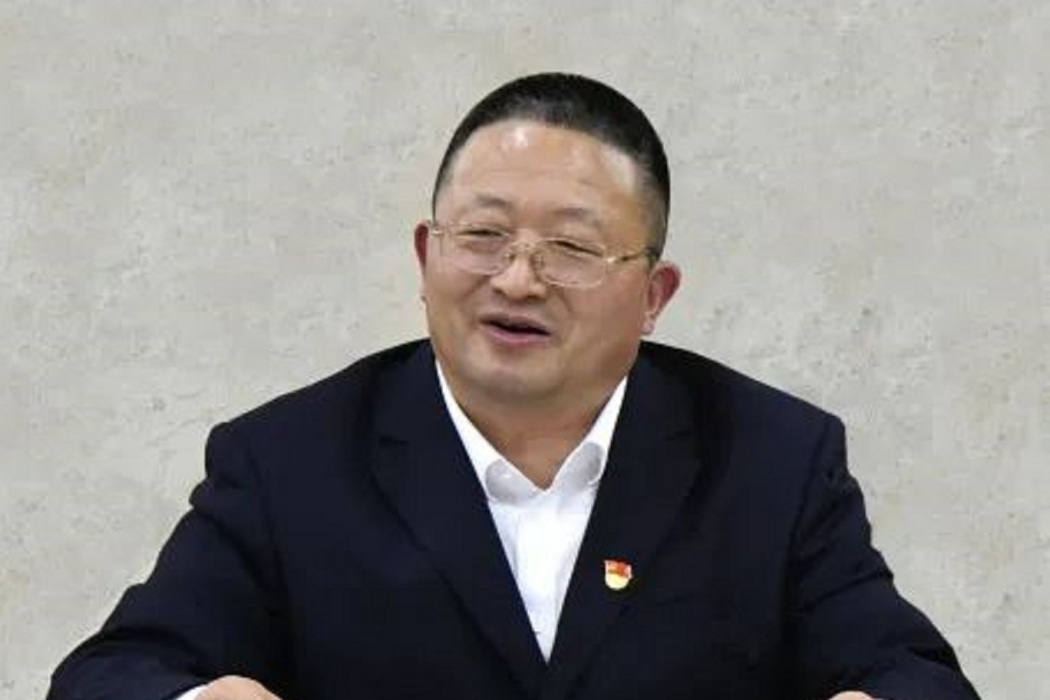 楊伯達(中煤集團中煤新集能源股份有限公司原黨委書記、董事長) 楊伯達(中煤集團中煤新集能源股份有限公司原黨委書記、董事長)
