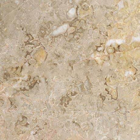 Breccia Fleury