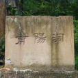 青陽洞 青陽洞