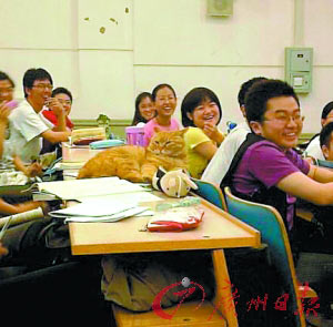 有人拍北大校貓，在座的學生都會心地笑了