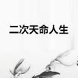 二次天命人生 二次天命人生