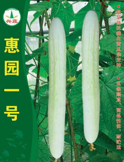 惠園一號 惠園一號
