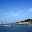 南麂列島