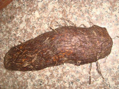 糯米薯 糯米薯