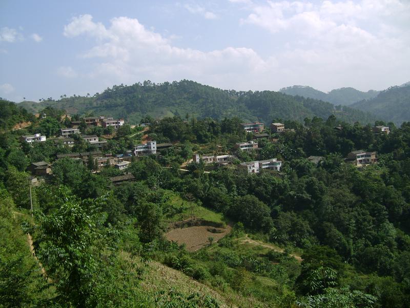 石令村 石令村
