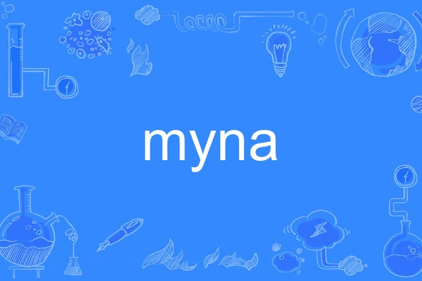 myna myna