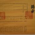 許亦嵩 許亦嵩