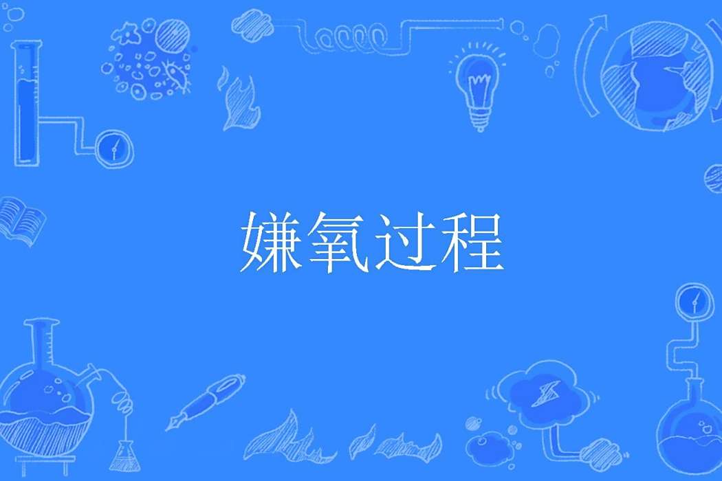 嫌氧過程 嫌氧過程