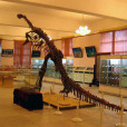 雲南省地質博物館