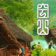 空山(彭輝導演2003年紀錄片) 空山(彭輝導演2003年紀錄片)