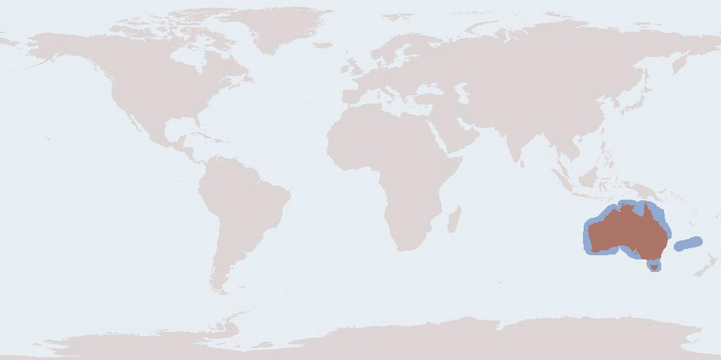 Anostostoma australasiae分布地圖