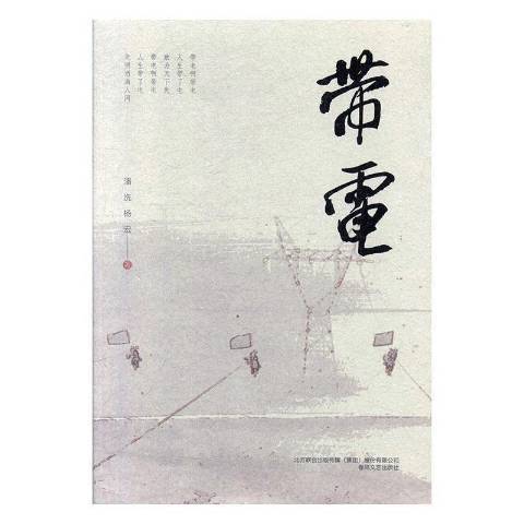 帶電(2019年春風文藝出版社出版的圖書) 帶電(2019年春風文藝出版社出版的圖書)