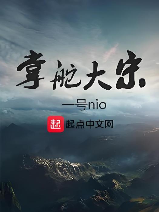 掌舵大宋