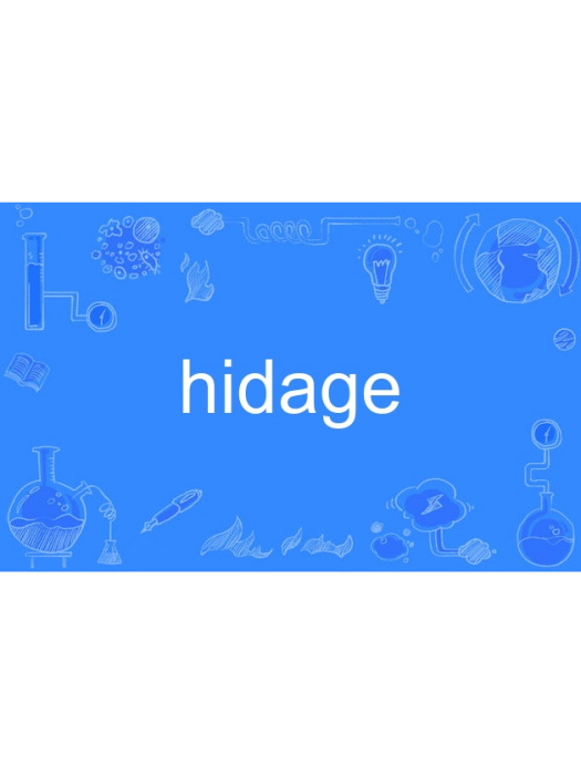 hidage hidage