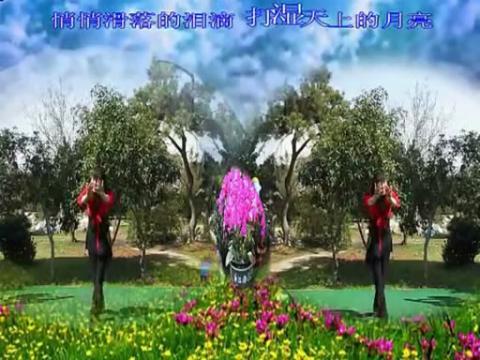 花桃舞 花桃舞