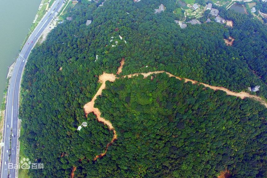 鵝羊山村 鵝羊山村