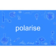 polarise polarise