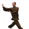 王桐(內家拳武術名家) 王桐(內家拳武術名家)