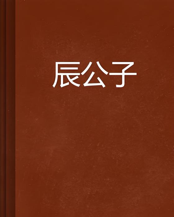 辰公子 辰公子