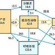 同化量 同化量