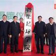 合肥足球學院