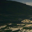 茗岙 茗岙