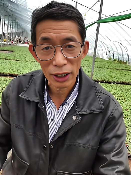 東哥苗業 東哥苗業