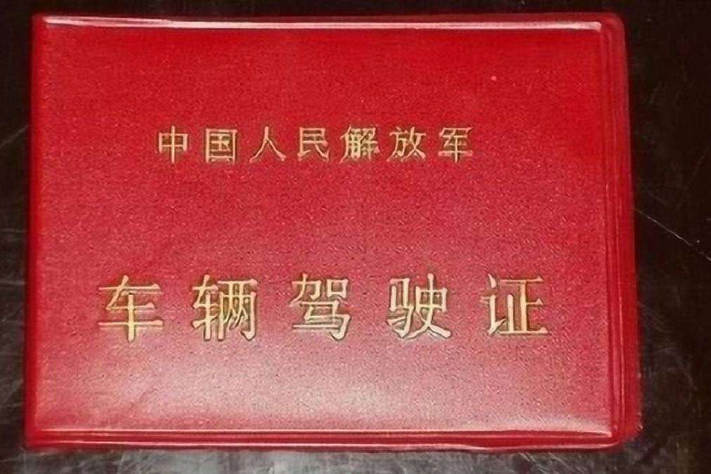 D駕駛證 D駕駛證