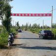 安邑街道 安邑街道