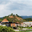 楓深村 楓深村