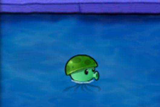 水兵菇 水兵菇